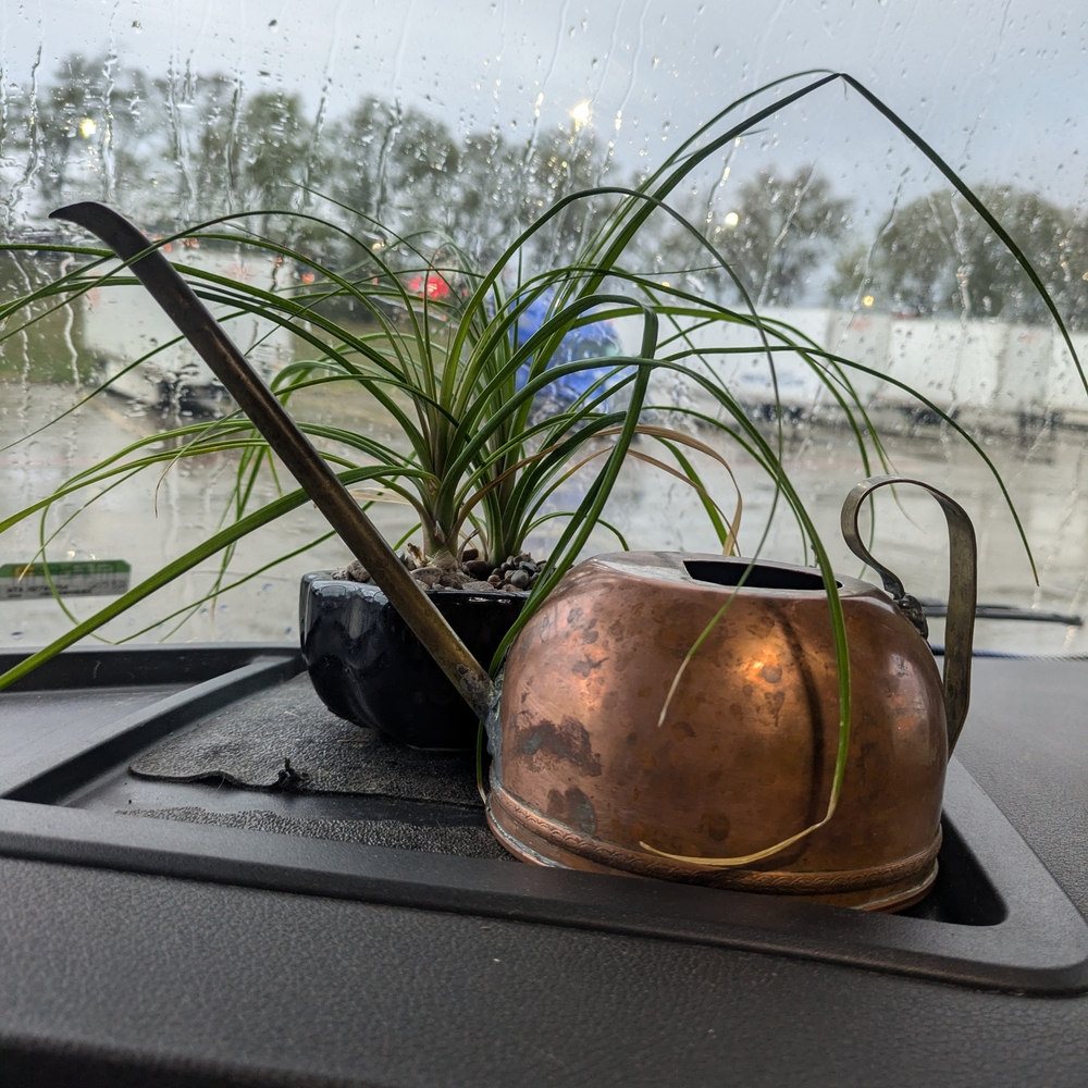 Vintage Antique Copper Watering Can